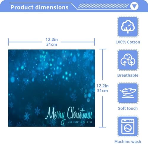 Blue Christmas Snowflakes Set of 2