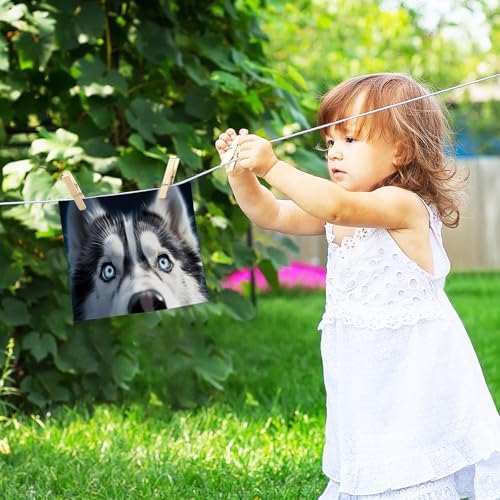 Fast-Powder Soft Reusable Dog Washcloth 12x12in Washable Fingertip Towels