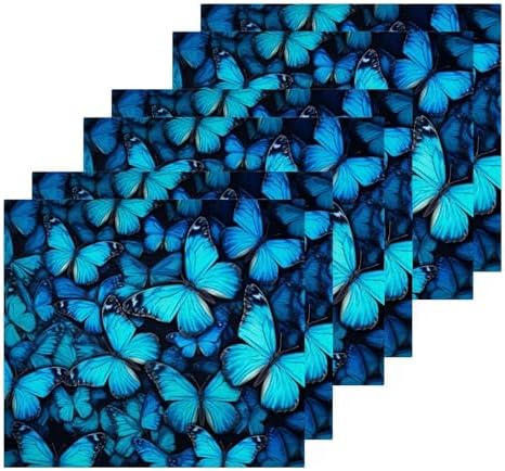 Blue Butterfly Washcloth Set