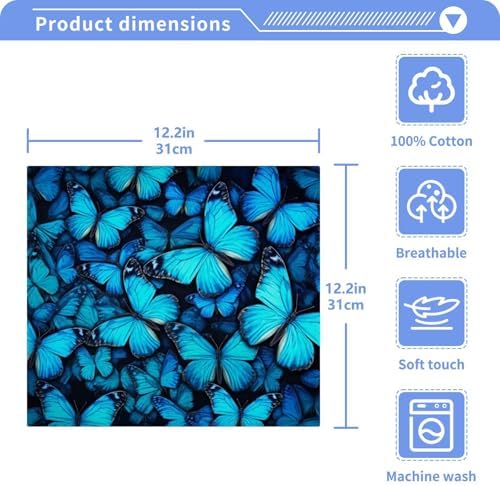 Blue Butterfly Washcloth Set